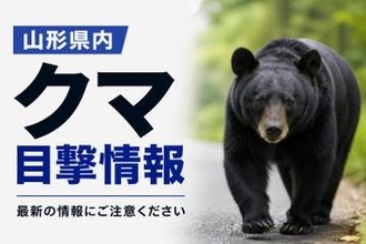老人ホーム敷地内にクマ　体長約1メートルで成獣とみられる　山形・酒田市