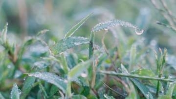 二十四節気「霜降」鳥海山で初冠雪観測 県内11地点で今季最低気温 月山も雪化粧