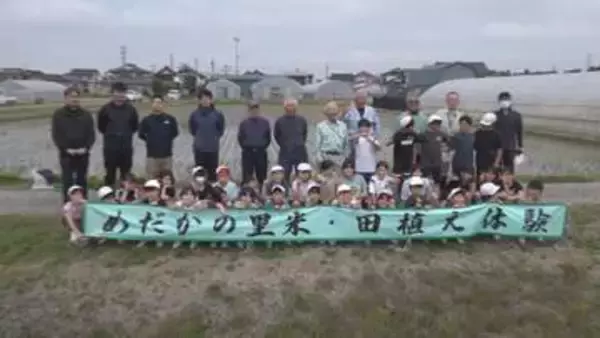 「たくさん増えてほしい」クロメダカ保護につなぐ学びの田植え 庄内町で小学生が挑戦