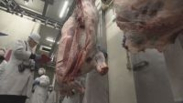 米沢牛の初競りで平均131万円超　前年より7万4000円高くも需要は低迷