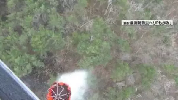 上山市のふるさと公園北東で立木など焼ける林野火災　ようやく鎮火