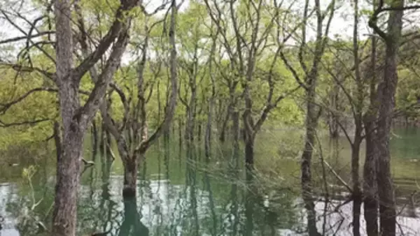 最大12連休も可能なGW その一方で外出控え 山形のおすすめスポットも紹介