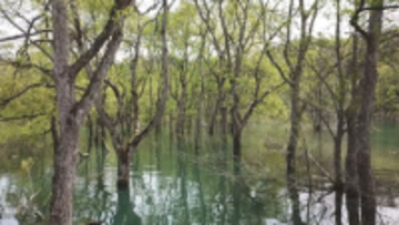 最大12連休も可能なGW その一方で外出控え 山形のおすすめスポットも紹介