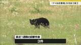 「市街地でのクマ目撃減少受け「クマ出没警報」今月いっぱいで終了　来月1日からは「注意報」で注意呼びかけ　山形県」の画像1