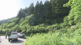 「【速報】ワラビ採りの男性心肺停止の状態で発見　外傷は無し　山形県鶴岡市」の画像1