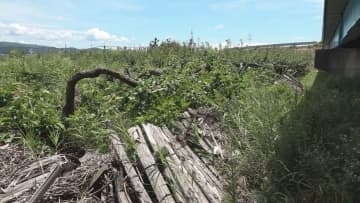 入札が不調だった酒田市の農地などの復旧工事　「刈屋梨」の園地は業者の協力を得て実施へ