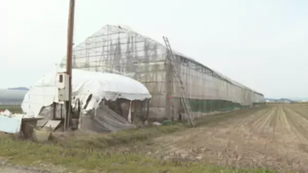 死因は出血性ショック　6メートルの高さから転落し死亡した80歳の男性 サクランボ畑の作業事故 河北町