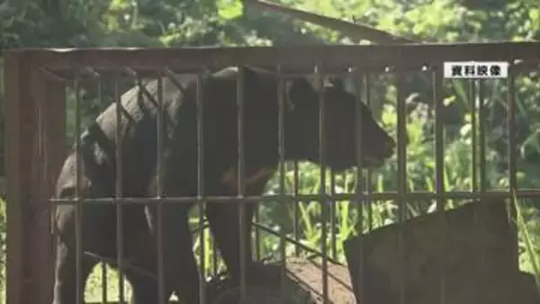 ツキノワグマ被害が東北に集中 全国統一の個体数調査へ 国と7県が初会議