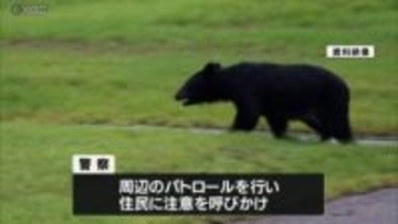 中学校近くの田んぼでクマ目撃情報　近隣で合わせて３件相次ぐ　山形県米沢市