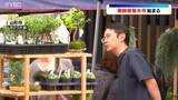 「日本三大植木市の1つ「薬師祭植木市」が開幕、400年以上の伝統」の画像1