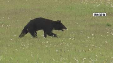 けさ早く米沢市でクマの目撃　付近には高校も　市が注意呼びかけ