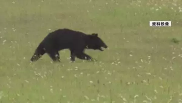 けさ早く米沢市でクマの目撃　付近には高校も　市が注意呼びかけ