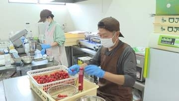 「もったいないの一言」捨てられる農産物を商品化 ドライフルーツと菓子で広がる新たな販路