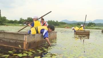 「おいしかったです」つるっと食感のジュンサイ収穫体験 小学生が給食でも堪能 村山