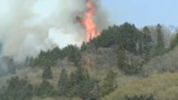 山林火災で大規模支援 岩手県大槌町に山形県内11消防本部から124人派遣 消火と指揮にあたる