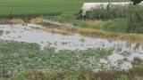 「7月大雨の影響深刻 農業被害3500万円 水田への土砂流入など128か所で被害確認」の画像1