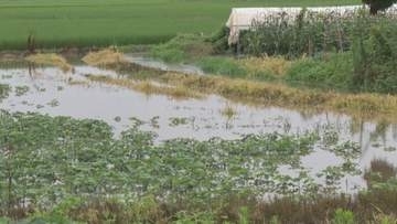 7月大雨の影響深刻 農業被害3500万円 水田への土砂流入など128か所で被害確認