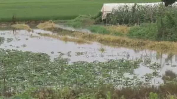 7月大雨の影響深刻 農業被害3500万円 水田への土砂流入など128か所で被害確認