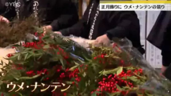 正月飾りなどの「ウメ」「ナンテン」の競り、山形市の市場で