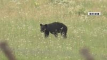 警察官によるライフル銃でのクマの駆除　山形県警「実施に必要な態勢を構築」と発表