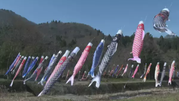 「毎年見に来ていて春感じる」山形市で恒例の高瀬川にこいのぼり350匹以上