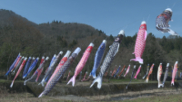 「毎年見に来ていて春感じる」山形市で恒例の高瀬川にこいのぼり350匹以上