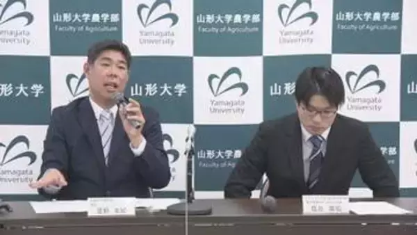 だだちゃ豆のおいしさ決める遺伝子を世界で初めて発見　山形大学研究チーム　品種改良に活用へ