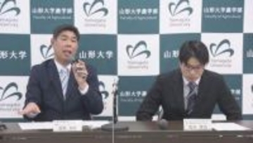 だだちゃ豆のおいしさ決める遺伝子を世界で初めて発見　山形大学研究チーム　品種改良に活用へ