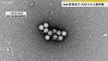 14人がおう吐や発熱などの症状　山形・東根市の飲食店でノロウイルス食中毒　山形県内で今年初発生