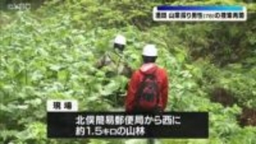 ＧＷ中の山菜採り遭難続発・酒田の男性(78)捜索再開（山形県）
