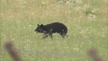 2月に市街地に出没したクマに始まり空港・小学校・旅館に次々と　山形県内の異常事態を振り返る