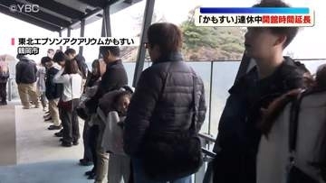 リニューアルした世界一のクラゲ水族館　ゴールデンウイークの混雑緩和のため開館時間を延長へ　山形県鶴岡市