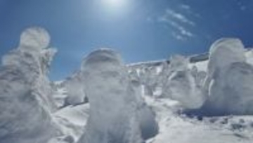 温暖化で蔵王山頂の気温上昇続く 樹氷の基盤となるアオモリトドマツの生育が難しく今世紀末に消滅の恐れ