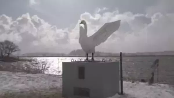 酒田市スワンパークの白鳥像「飛翔」 豪雨災害から1年半ぶりに復活、24日に完成式