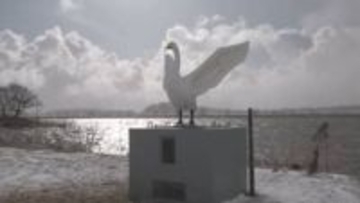 酒田市スワンパークの白鳥像「飛翔」 豪雨災害から1年半ぶりに復活、24日に完成式