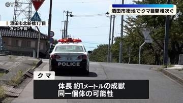 市街地でクマの目撃が4件相次ぐ　人や建物への被害なし　山形県酒田市
