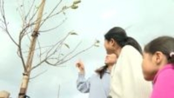 山形新聞・山形放送８大事業　「最上川さくら回廊」植樹式