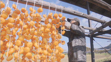 立冬　山形県内は平年より暖かい朝　上山市では特産の干し柿づくりピーク