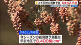 「「ここ10年で一番飛ぶ」 スギ花粉の飛散予測 去年の2.5倍 昨夏の高温少雨の影響 山梨」の画像1