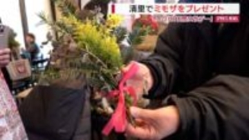 「国際女性デー」にシンボル・ミモザの花をプレゼント！清里でイベント 山梨・北杜市
