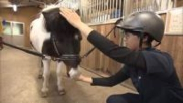 北杜高馬術部にポニーの“ポッピー”が仲間入り！校内を散歩しニンジンほお張る 山梨