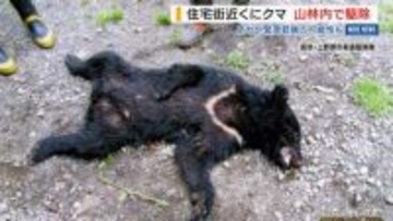 「緊急銃猟もよぎった」住宅街近くにクマ出没 逃げた山林で駆除 県内で今季初 山梨