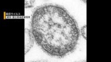 はしかはGWに注意 全国で感染拡大➡県内でも3人が感染 専門家が無料検査呼びかけ 山梨