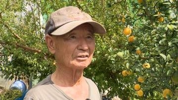 手掛けるのは100品種超！果物栽培に情熱注ぐ88歳 AI相棒に「ギネスに挑戦」山梨
