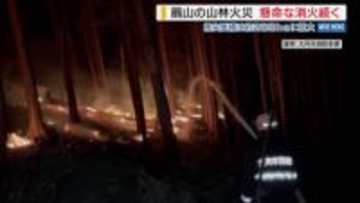 【消防隊員が撮影】「上から火の粉が落ちてきて」 扇山の山林火災 焼失面積は約233haに拡大 山梨