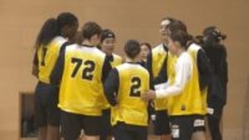 【バスケ】運命の入れ替え戦へ臨戦態勢 1部昇格目指す山梨クィーンビーズ 日本代表擁す強敵に挑む Wリーグ