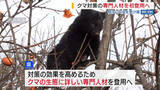 「クマ対策の専門人材 山梨県が初登用へ クマの生態を研究しアドバイス 山梨」の画像1