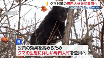 クマ対策の専門人材 山梨県が初登用へ クマの生態を研究しアドバイス 山梨