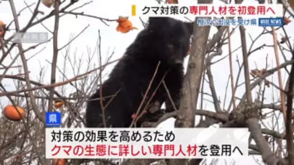クマ対策の専門人材 山梨県が初登用へ クマの生態を研究しアドバイス 山梨
