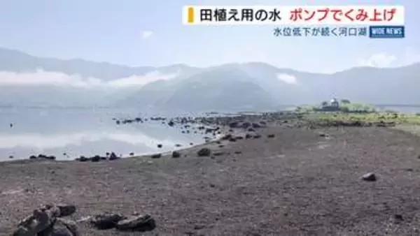 「大変な出費」渇水の河口湖…水位足りず“ポンプ新設” 水田へ取水作業始まる 山梨